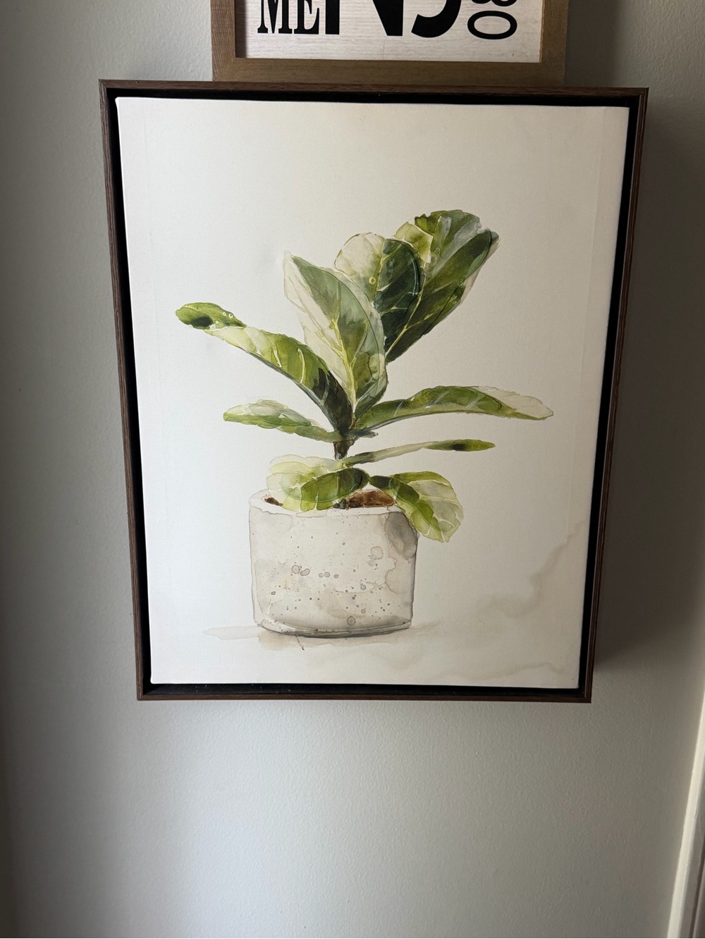 Textured Plant Wood Frame Wall Art
